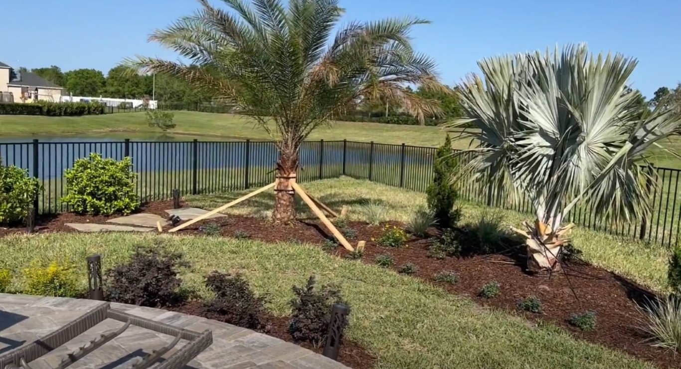 Transformed lawn and landscape in DeSoto, TX